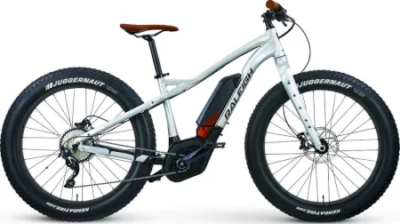 Raleigh Magnus Ie Emtb 2018