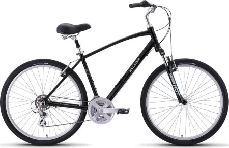 Raleigh Venture 2 2019