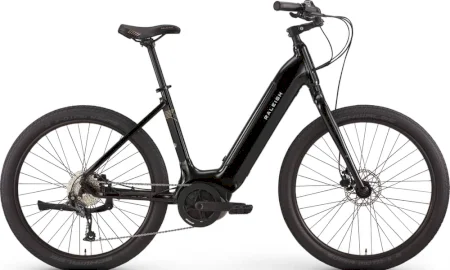 Raleigh Venture Ie 2021