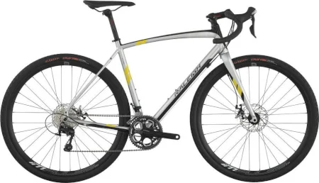 Raleigh Willard 2 2016 2016