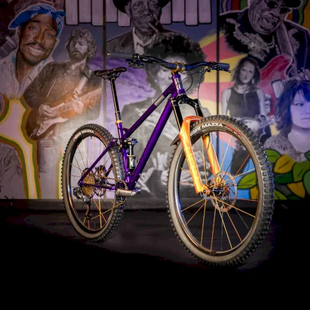 Reeb Deep Purple Sst Halo 2023