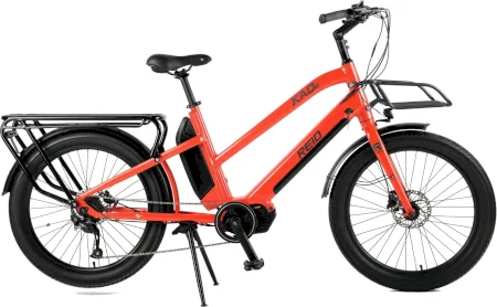 Reid Kade Ecargo Bike 2023