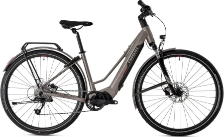 Ridgeback Advance 1w 2024