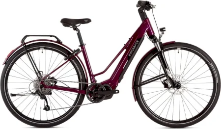 Ridgeback Advance 2w 2024