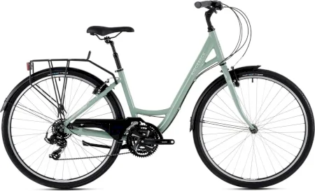 Ridgeback Avenida 21 2024