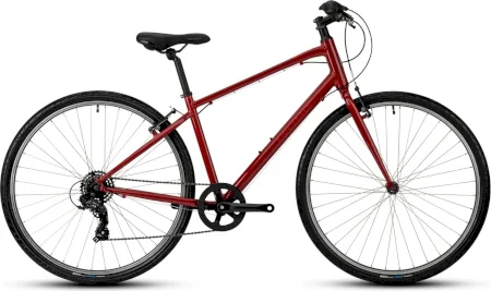 Ridgeback Comet 2024