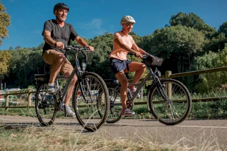 Riverside Original 900 E Electric Hybrid Bike 2024