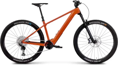 Rose Bonero Plus 1 2025