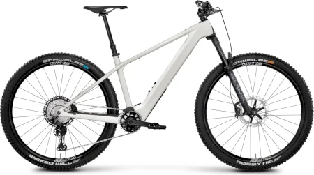 Rose Bonero Plus 2 2025