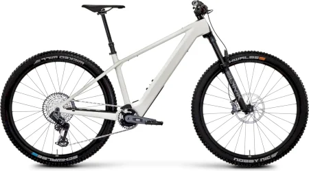Rose Bonero Plus 3 2025