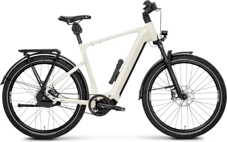 Rose Mayor Plus 3 2025