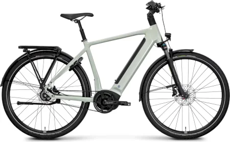 Rose Xtra Watt Plus 2 2025