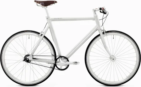 Schindelhauer Ludwig Viiixi 2023