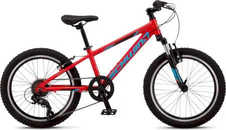 Schwinn Thrasher 20 2025