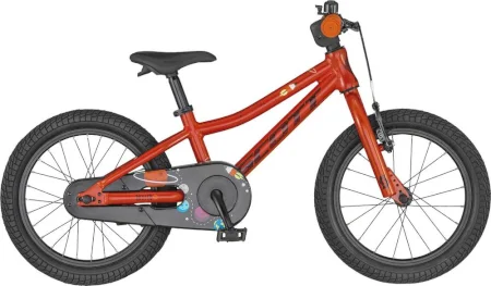 Scott Roxter 16 2020