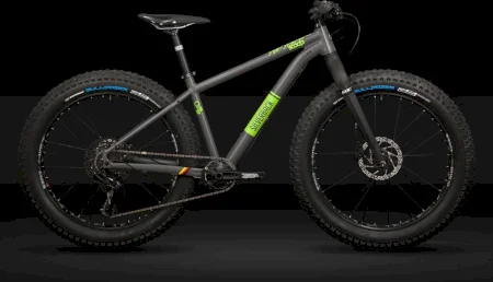 Silverback Scoop Single 2023
