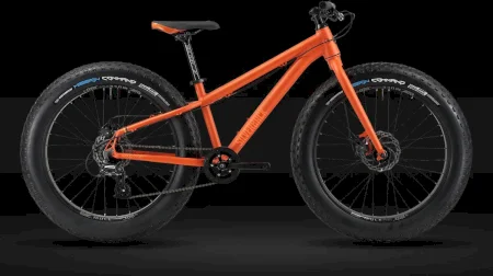 Silverback Se Series Fat 24 2024