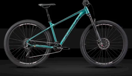 Silverback Seseries 9 D 2024