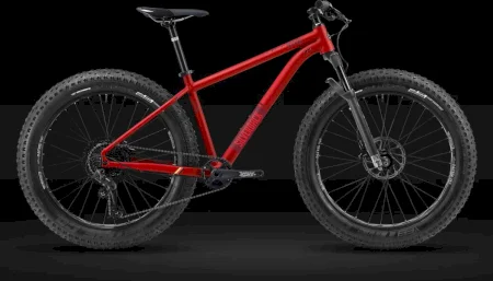 Silverback Seseries Fat Sx 2024
