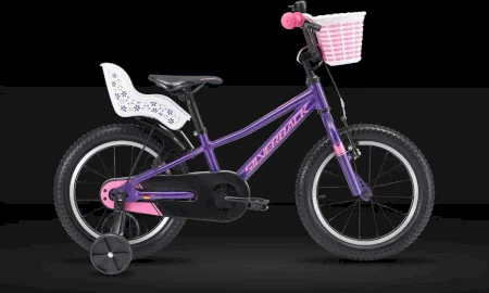 Silverback Skid 16 4 Options 2025