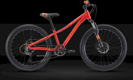 Silverback Spyke 24 2025
