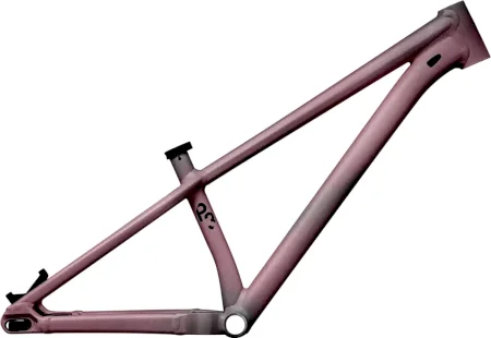 Specialized P.3 Frame 2024