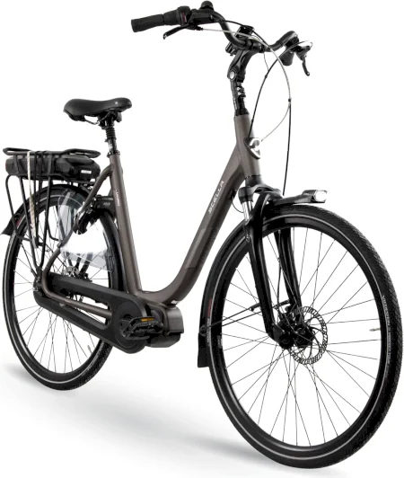 Stella Livorno Superior Mds 2025
