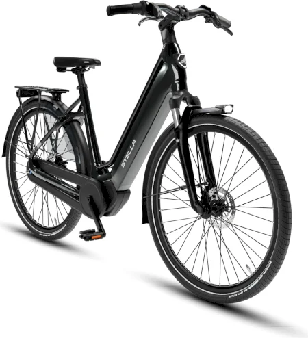 Stella Vicenza Premium Mds N8 Fi 2025