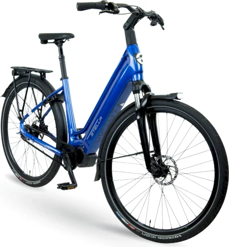Stella Vicenza Pro Mds Fi 2025