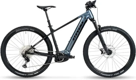 Stevens E Agnello 2025