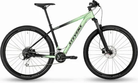 Stevens Taniwha 2025