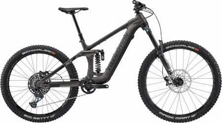 Transition Relay Pnw Alloy Gx 2024