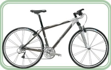 Trek Fast City 2003