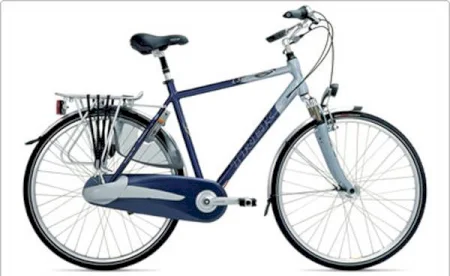 Trek L300 2005