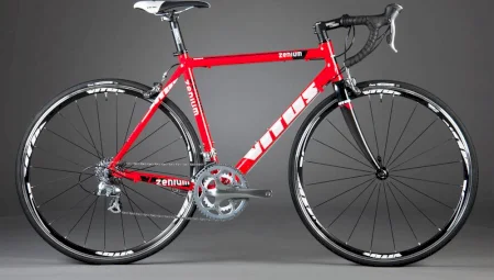 Vitus Zenium 2011 2011