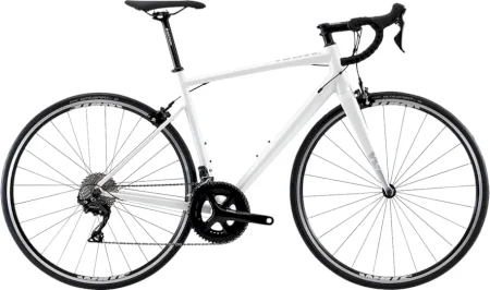 White Rr Pro Ane 2020