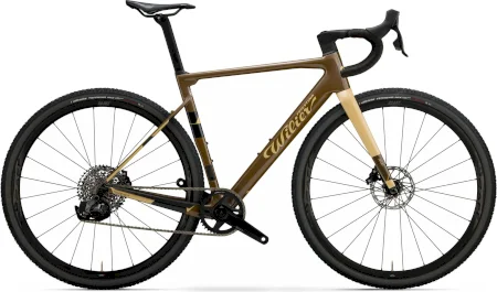 Wilier Rave Sl Shimano Ultegra Di2 R8170 2x12s 2025
