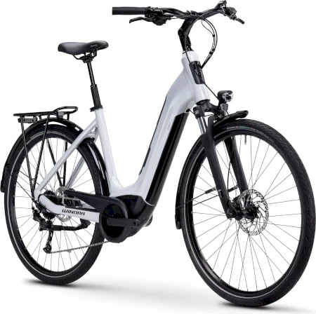 Winora Tria X9 2025